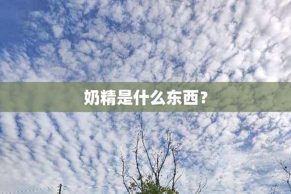 奶精是什么东西？