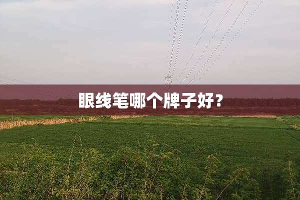眼线笔哪个牌子好？