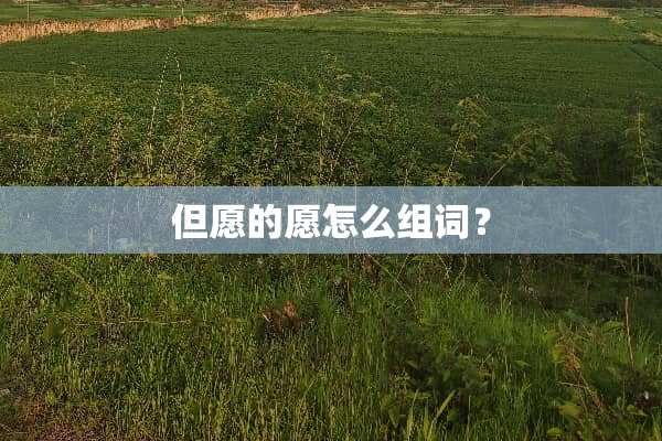 但愿的愿怎么组词？