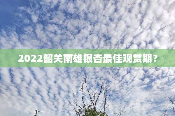 2022韶关南雄银杏最佳观赏期？