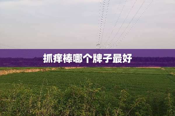 抓痒棒哪个牌子最好