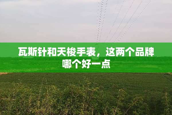 **针和天梭手表，这两个品牌哪个好一点