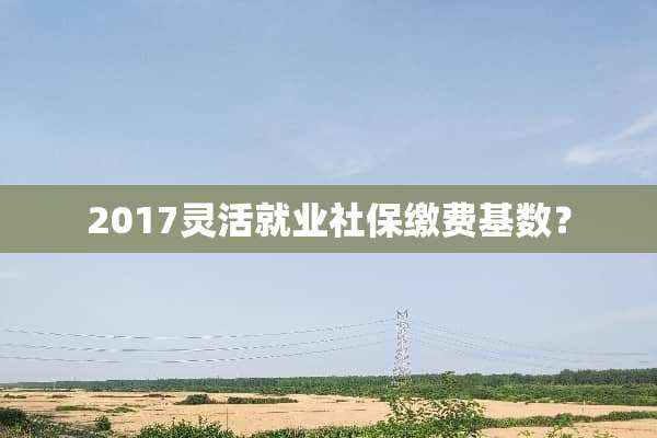 2017灵活就业社保缴费基数？
