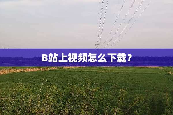 B站上视频怎么下载？