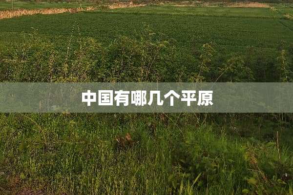 中国有哪几个平原