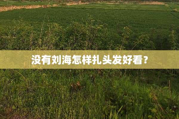 没有刘海怎样扎头发好看？