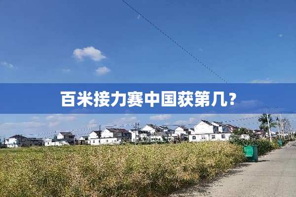 百米接力赛中国获第几？