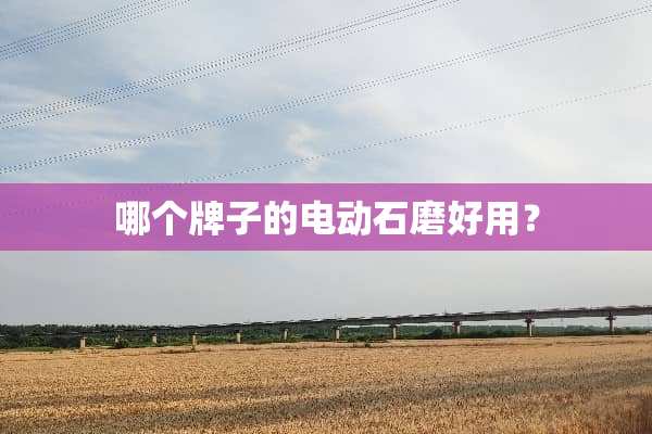 哪个牌子的电动石磨好用？