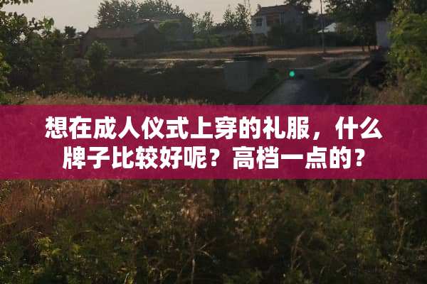 想在**仪式上穿的礼服，什么牌子比较好呢？高档一点的？