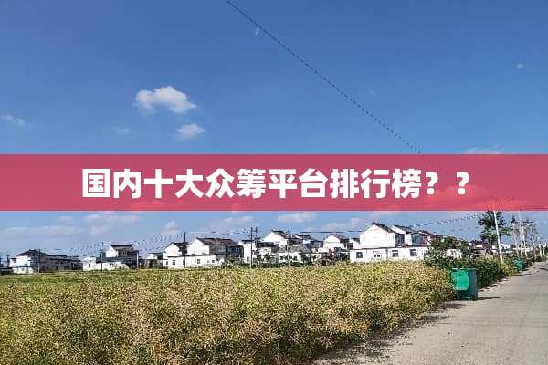国内十大众筹平台排行榜？？