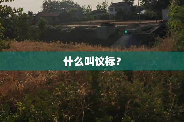 什么叫议标？
