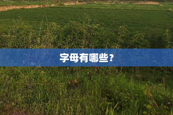 字母有哪些？