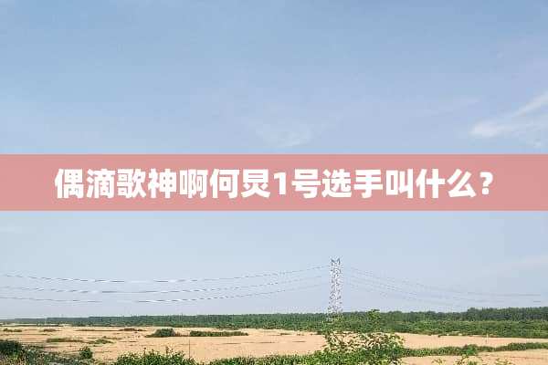 偶滴歌神啊何炅1号选手叫什么？