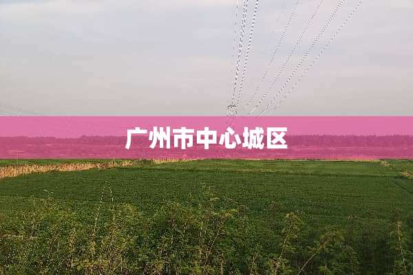 广州市中心城区