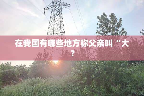 在我国有哪些地方称父亲叫“大？