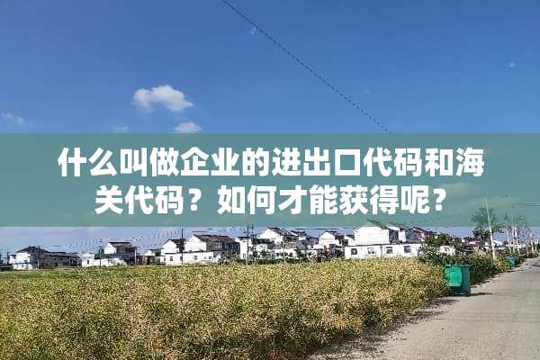 什么叫做企业的进出口代码和海关代码？如何才能获得呢？