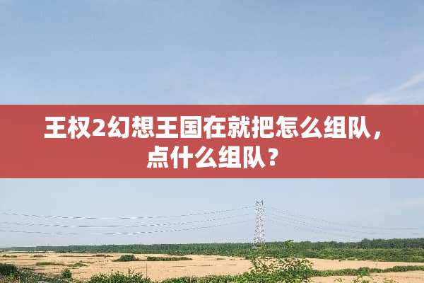 王权2幻想王国在就把怎么组队，点什么组队？