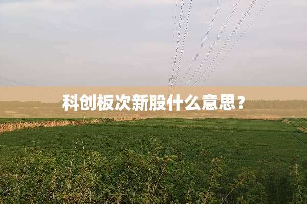 科创板次新股什么意思？