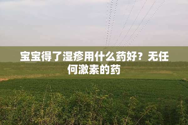 宝宝得了湿疹用什么药好？无任何激素的药