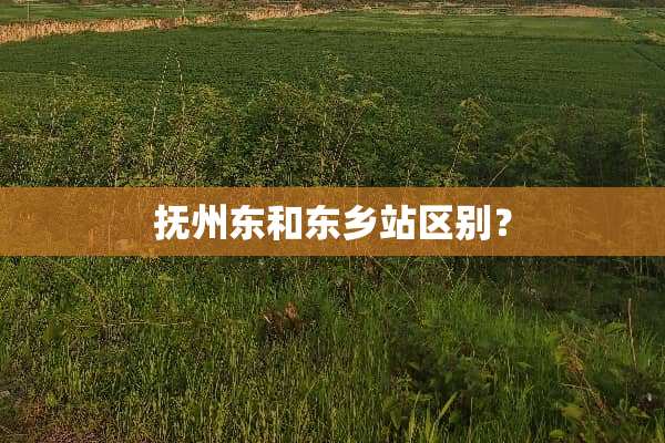 抚州东和东乡站区别？