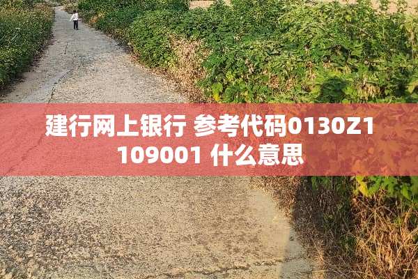 建行网上银行 参考代码0130Z1109001 什么意思