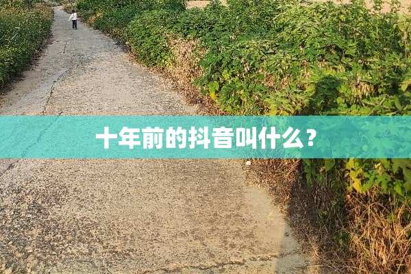 十年前的抖音叫什么？
