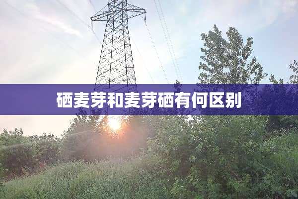 硒麦芽和麦芽硒有何区别