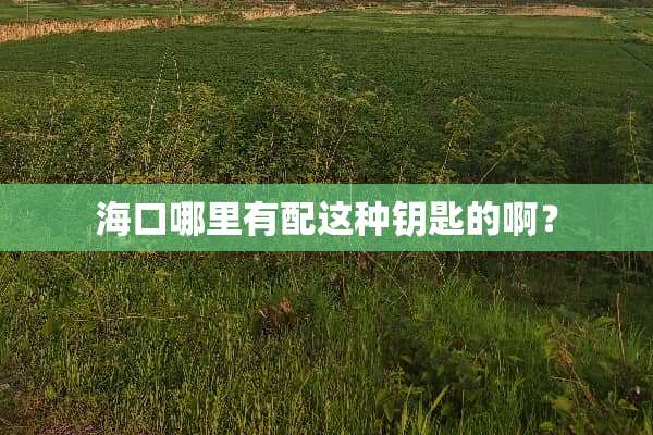 海口哪里有配这种钥匙的啊？