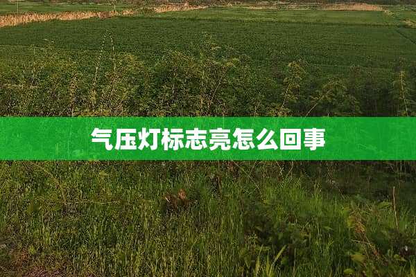 气压灯标志亮怎么回事