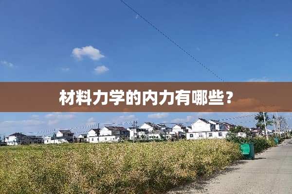 材料力学的内力有哪些？