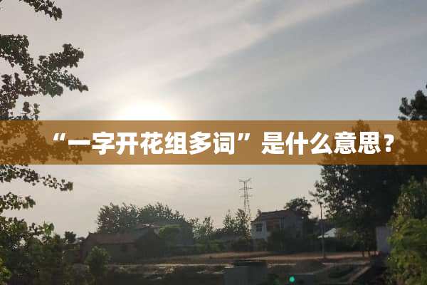 “一字开花组多词”是什么意思？
