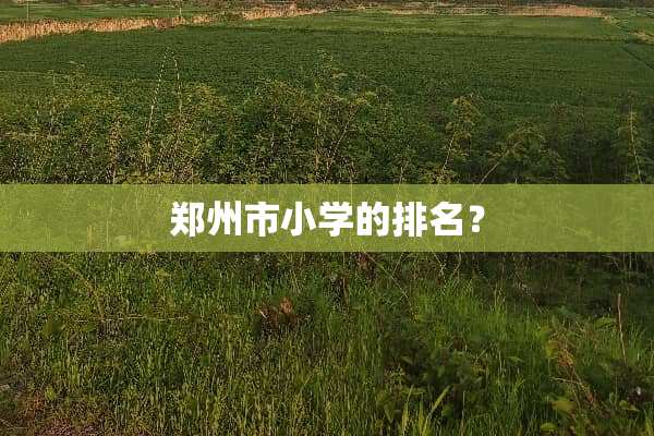 郑州市小学的排名？