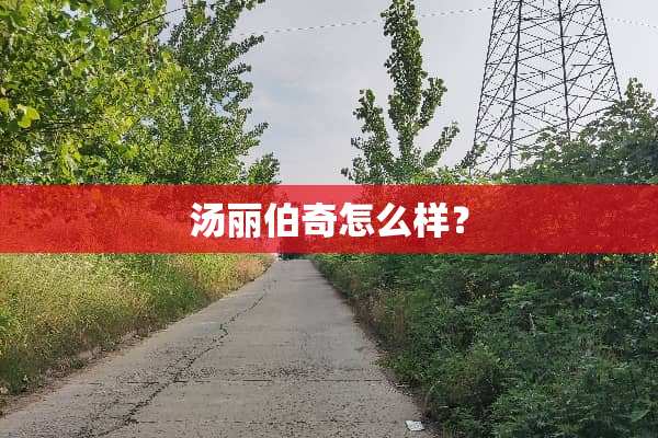 汤丽伯奇怎么样？