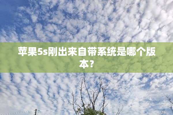 苹果5s刚出来自带系统是哪个版本？