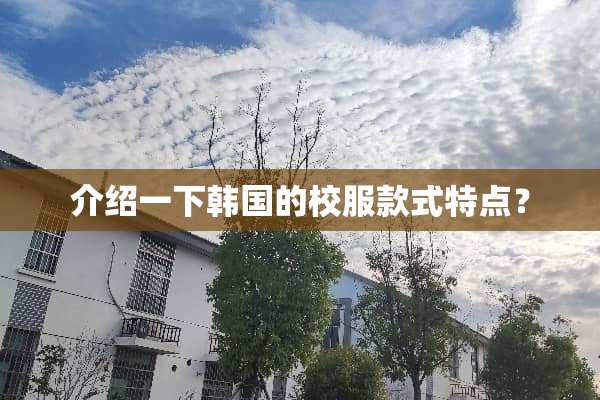 介绍一下韩国的校服款式特点？