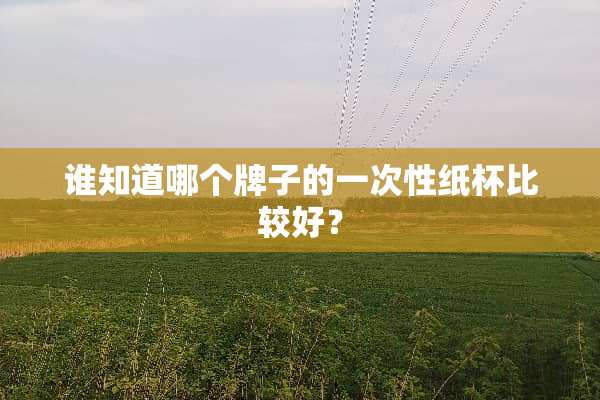 谁知道哪个牌子的一次性纸杯比较好？