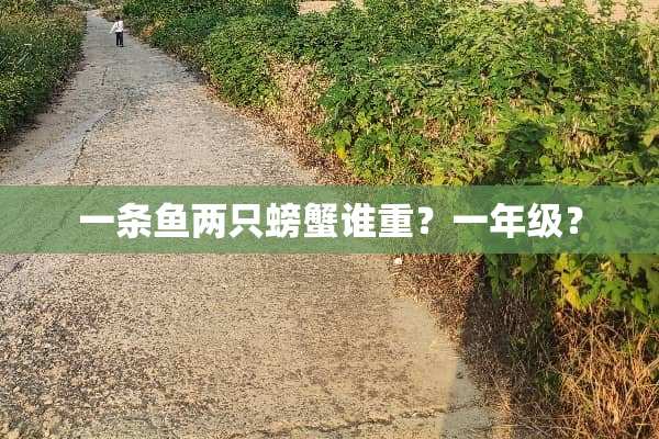 一条鱼两只螃蟹谁重？一年级？
