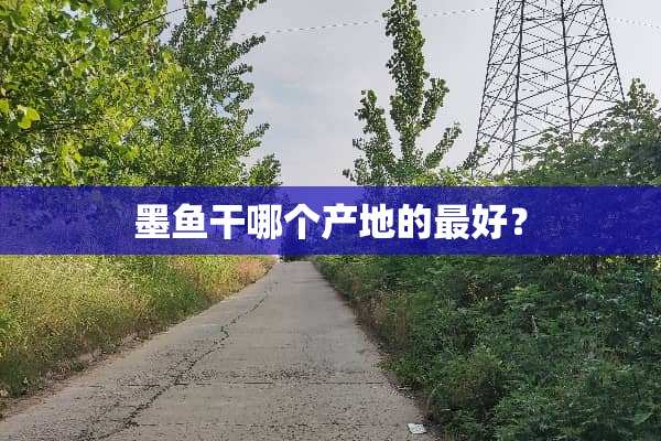 墨鱼干哪个产地的最好？