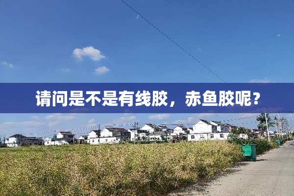 请问是不是有线胶，赤鱼胶呢？