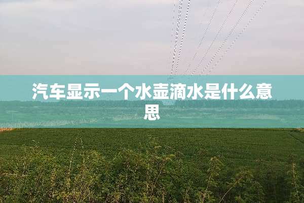 汽车显示一个水壶滴水是什么意思