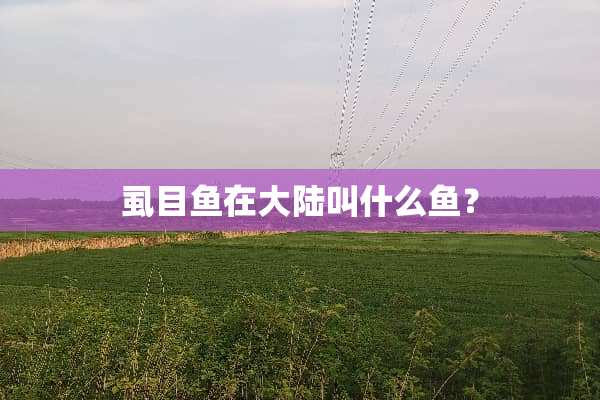 虱目鱼在**叫什么鱼？