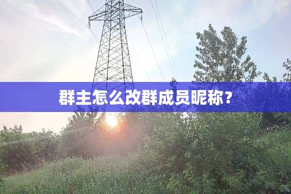 群主怎么改群成员昵称？