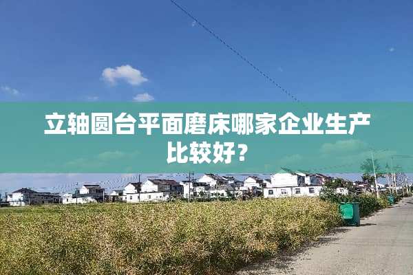 立轴圆台平面磨床哪家企业生产比较好？