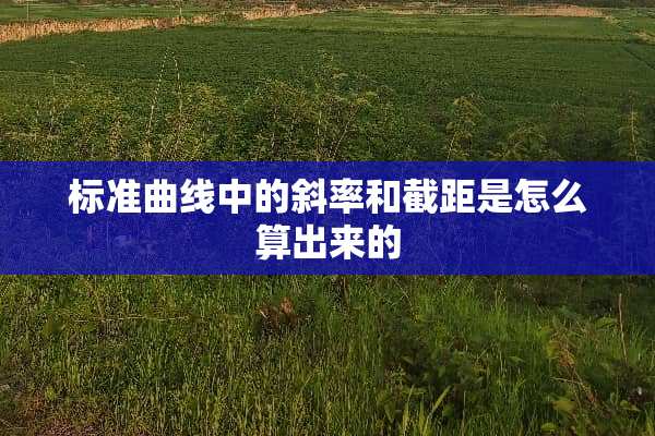 标准曲线中的斜率和截距是怎么算出来的