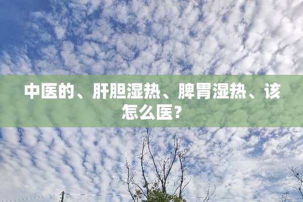 中医的、肝胆湿热、脾胃湿热、该怎么医？