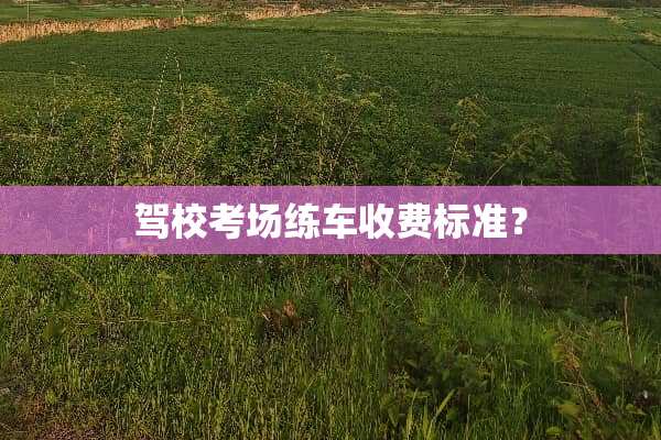 驾校考场练车收费标准？