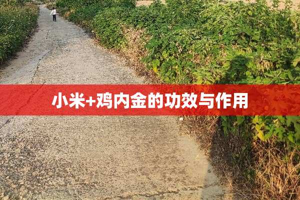 小米+鸡内金的功效与作用