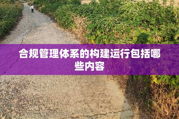 合规管理体系的构建运行包括哪些内容
