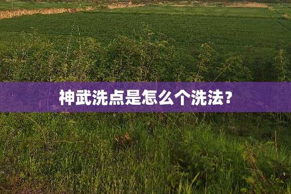 神武洗点是怎么个洗法？
