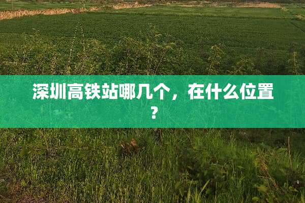 深圳高铁站哪几个，在什么位置？